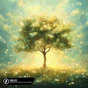 日韩男女在线视频免费观看
