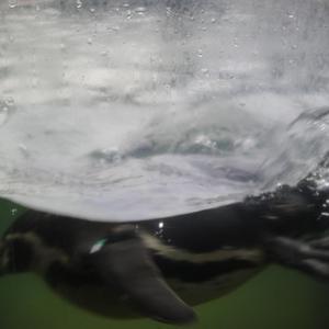 日韩男女在线视频免费观看
