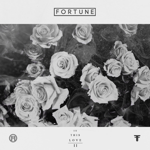 日韩男女在线视频免费观看
