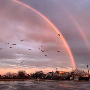日韩男女在线视频免费观看
