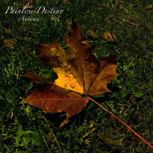 日韩男女在线视频免费观看
